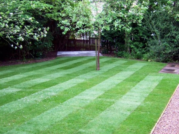 Artificial Grass and Turfing